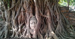 วัดมหาธาตุ Wat Mahathat
