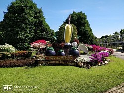 สวนผลไม้ระยอง Rayong orchard