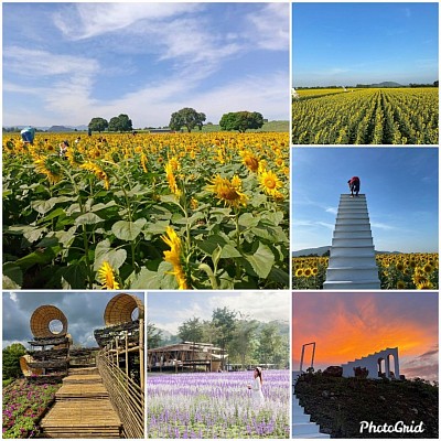 Reserve a car to travel to Khao Yai.