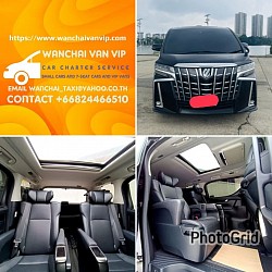 VIP toyota alphard